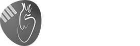 Societat Catalano-Balear de Cirurgia Cardíaca  (SCCC)